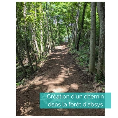 Creation-dun-chemin-dans-la-foret-dabsys